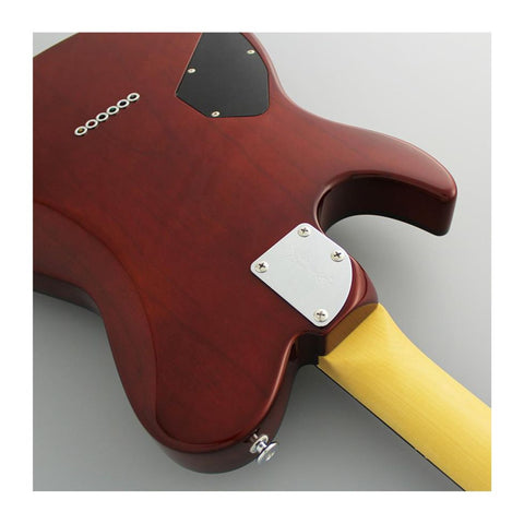 FGN Guitarra Eléctrica ILIAD J-Standard JIL2 EW2-R Telecaster Koa Natural Burst + Funda FGN